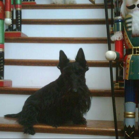 ❤️The love of my life RIP 12/2/18❤️ - Picture 5 of 7